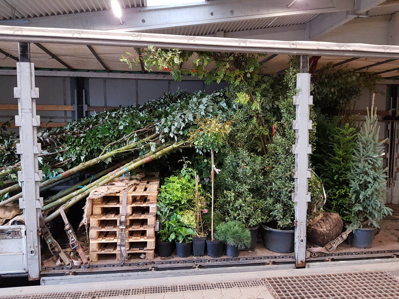 LKW beladen mit Pflanzen