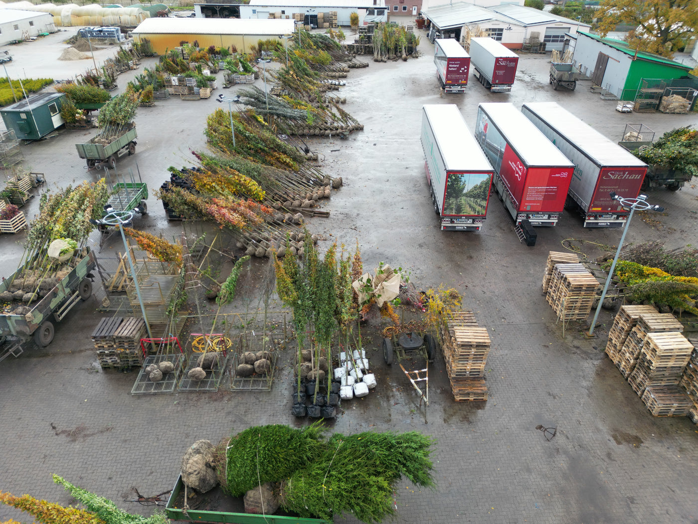 Pflanzen-Verladung aus der Vogelperspektive