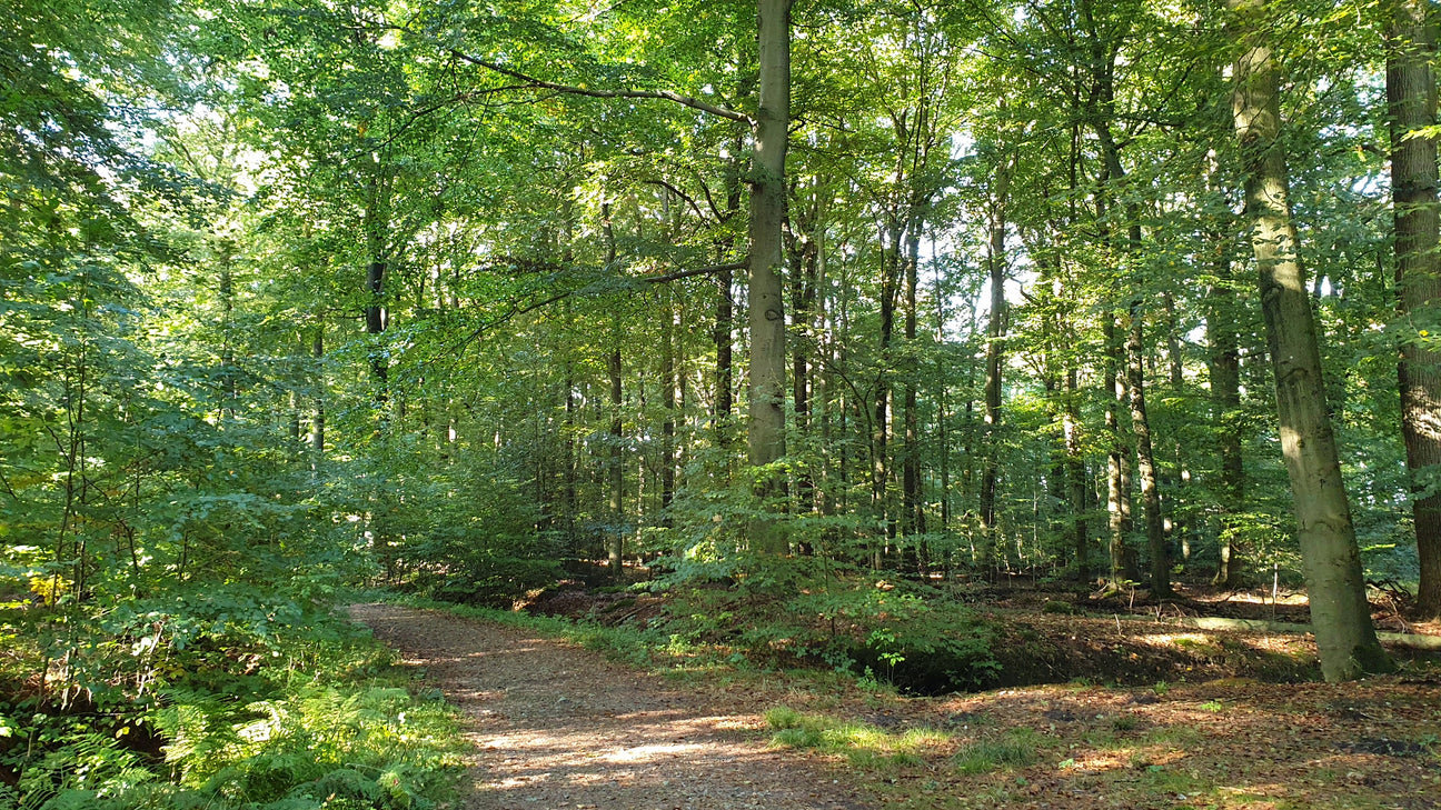 Gebietsheimisch/autocht. (VKG 1-6)
