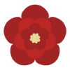 Blütenfarbe