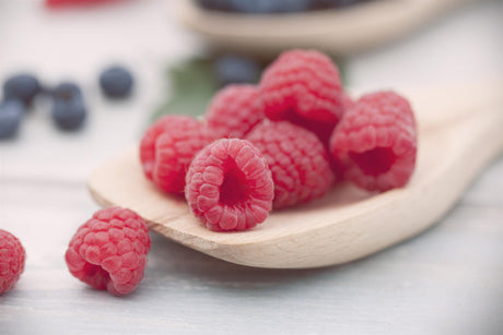 Rubus id. 'Sanibelle' mit Früchten; Einsatz: , ;;ab 12,75 Euro