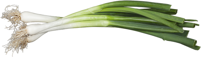 Allium fistulosum ;;ab 4,65 Euro