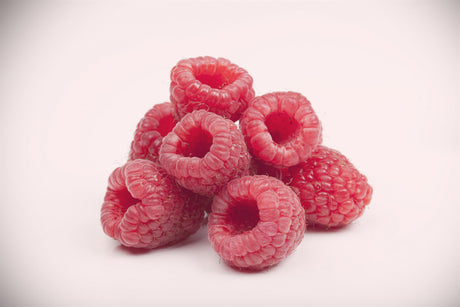 Rubus id. 'Rubaca' mit Früchten; Einsatz: , ;;ab 12,75 Euro