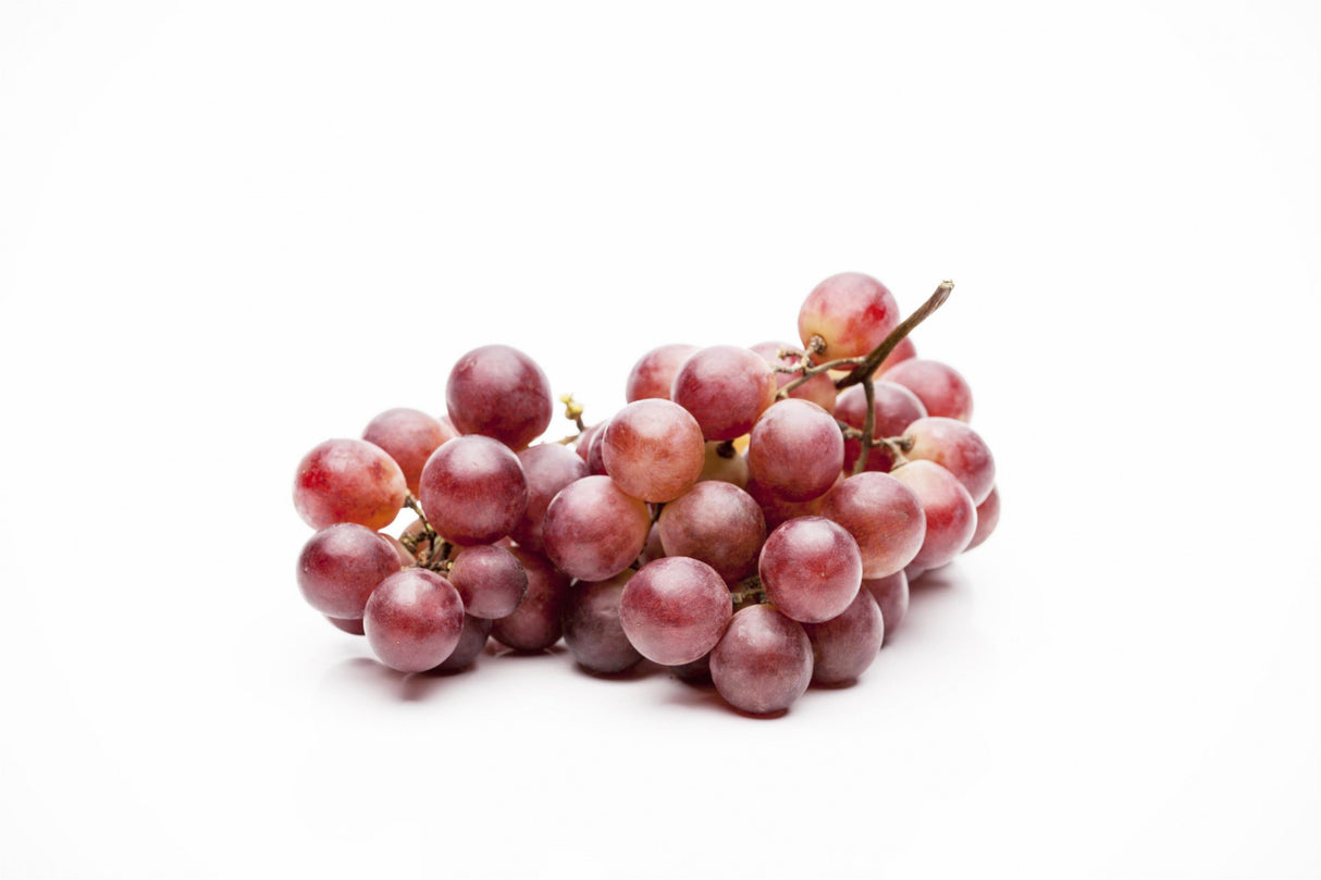 Vitis 'Cardinal' mit Früchten, erhältlich von 80-100 bis 80-100 cm; Einsatz: ;;ab 25,90 Euro